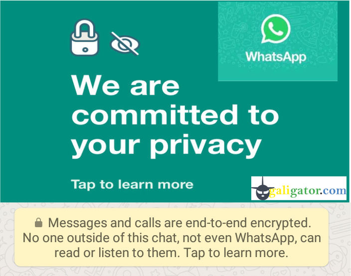 WhatsApp Clashes With Privacy And Now Convincing People That..